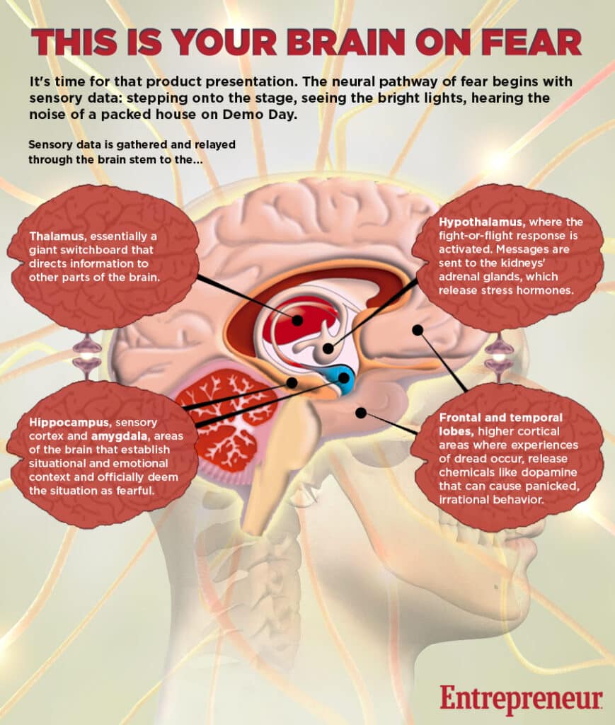 brain-on-fear-infographic2